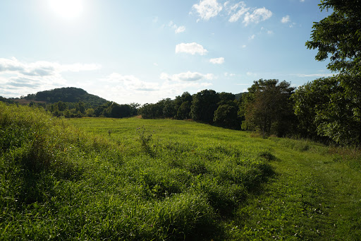 Ice Age Trail: Robertson Trailhead (Lodi-Springfield Rd) Gallery - United States