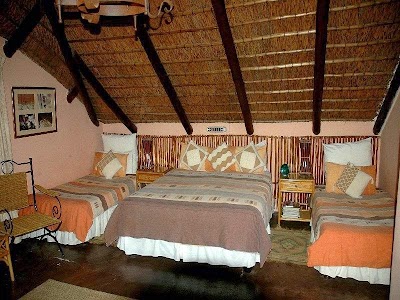 Photos of Trees Too Guest Lodge