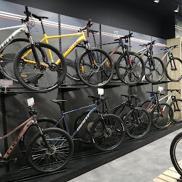 Photo n°16 de Mondovélo Chambéry à Chambéry (Magasin de vélos d'occasion)