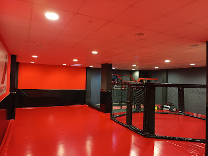 submission-fight-club