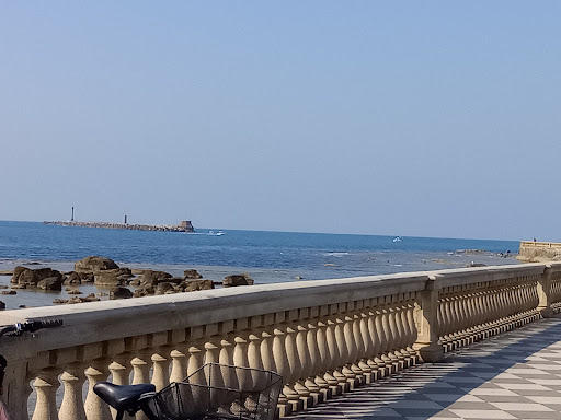 Bar "La Terrazza Mascagni" - Thumbnail