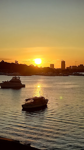 Sydney Rowing Club - Thumbnail