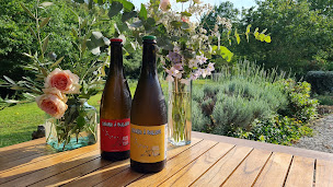 Photo n°2 de Jourdain Gaspard à Saint-Couat-du-Razès (Vignoble)