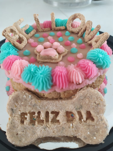 TRAGÓN - Visual