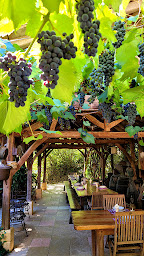 Photo n°46 de Auberge de Layotte à Les Eyzies (Restaurant)