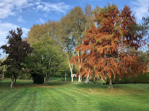 Photo n°77 de Camping Ile de Boulancourt - Ecologique en Forêt de Fontainebleau à Boulancourt (Terrain de camping)