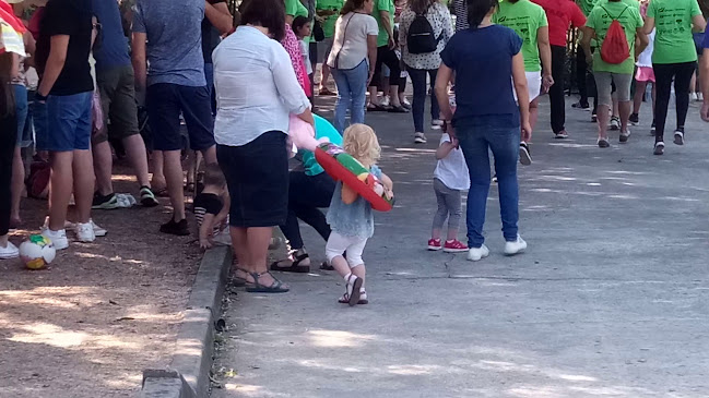 Avaliações doParque do Vieiro em Oliveira do Bairro - Campo de futebol