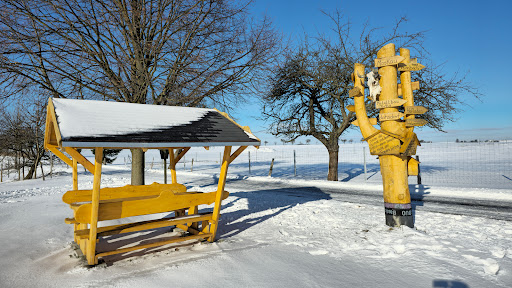 Bisonhütte - Visual