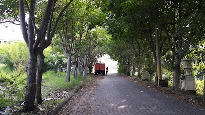 Photos of Eco Wisata Mangrove Gunung Anyar