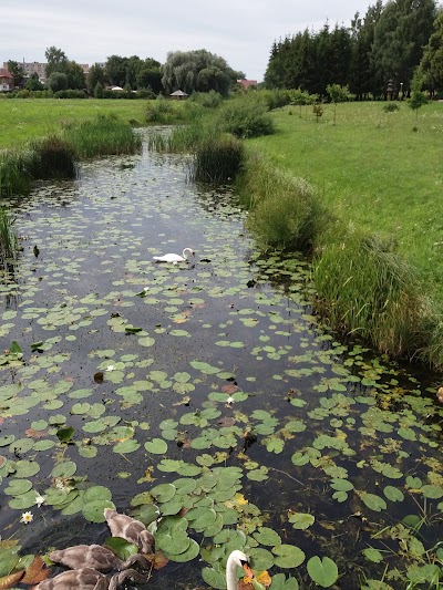 Photos of Karčema