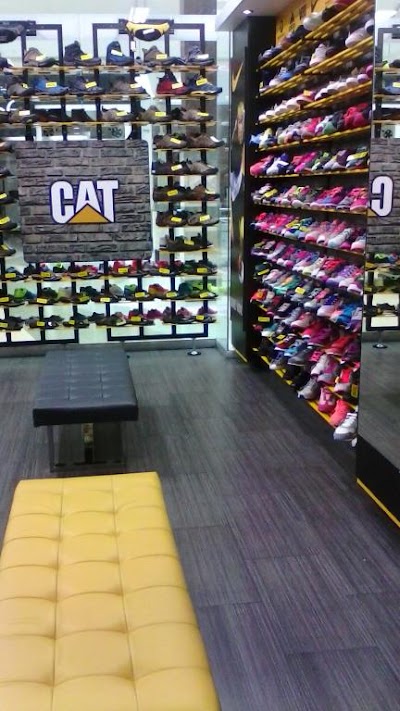 Photos of Traffic tienda