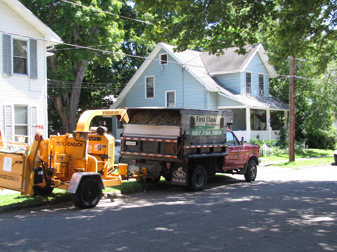 First Class Tree Service