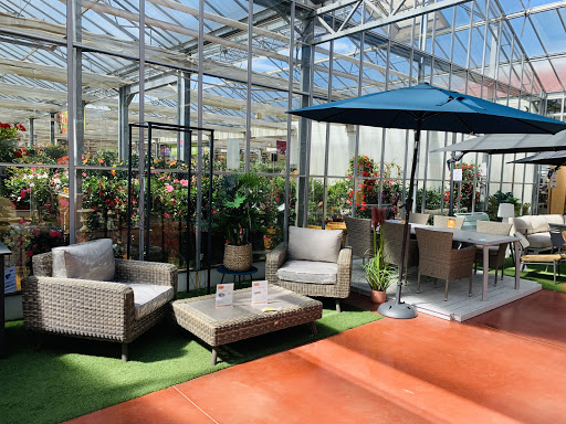 Photo de Les Serres d'Angresse - Jardinerie à Angresse (40150)