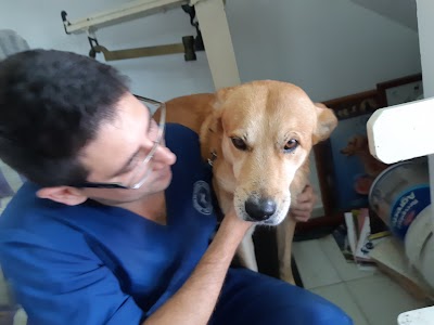 Photos of veterinaria "PERICLES"