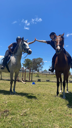 Honeyvale Rehabilitation And Riding Centre
