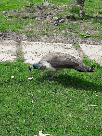 Camping Onder de dijk