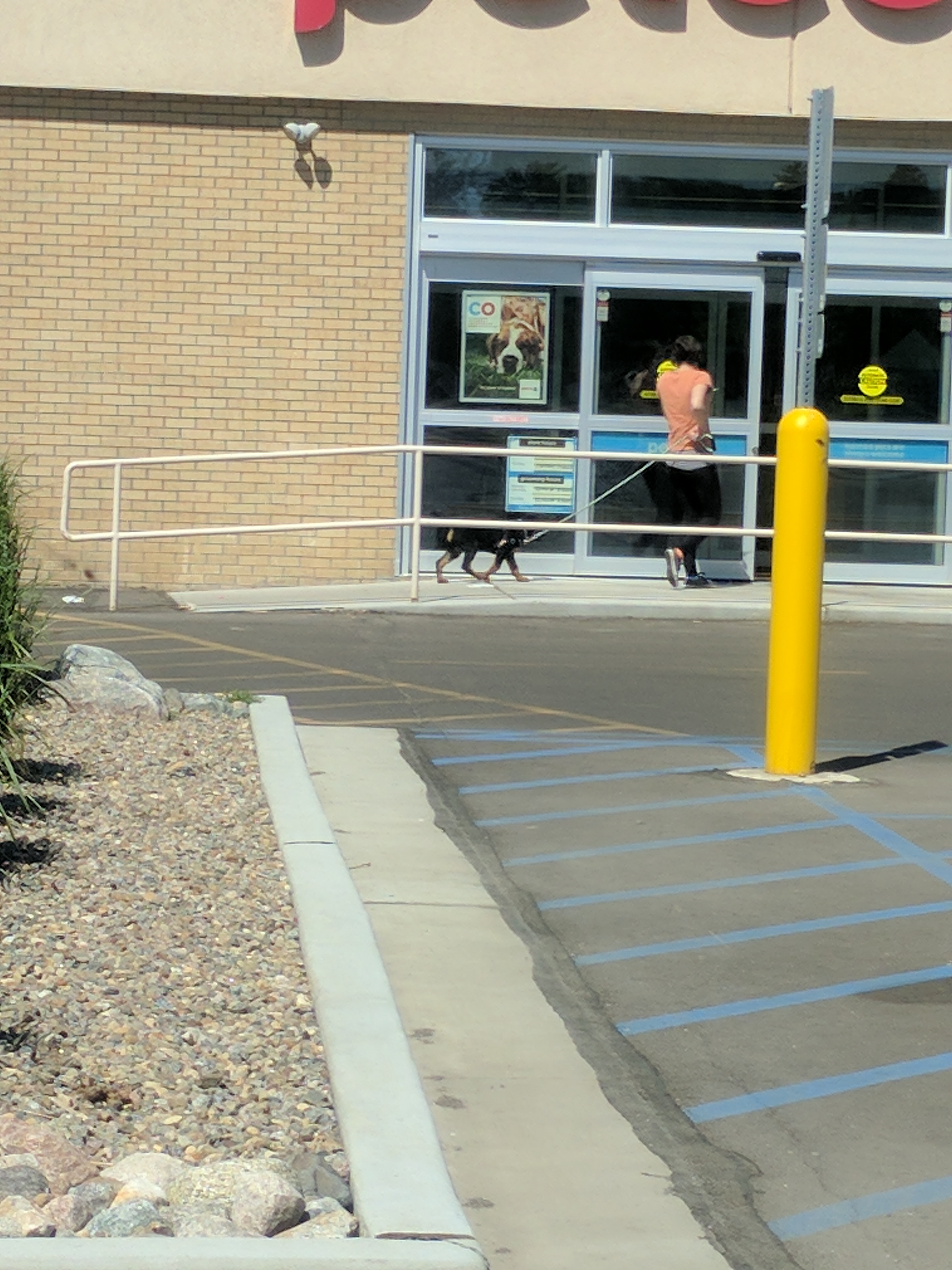 Petco
