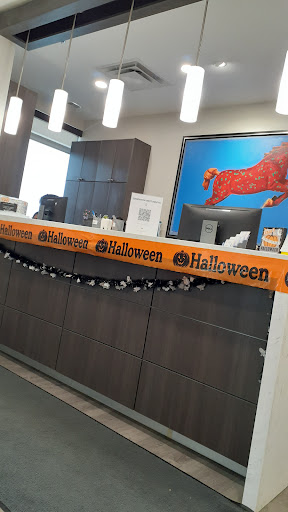 Edmonton West Dental Clinic - Thumbnail
