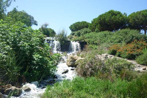 lagos Park - Thumbnail