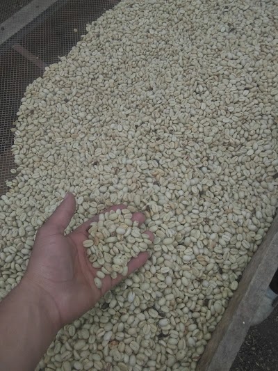 Photos of Venta de Panela