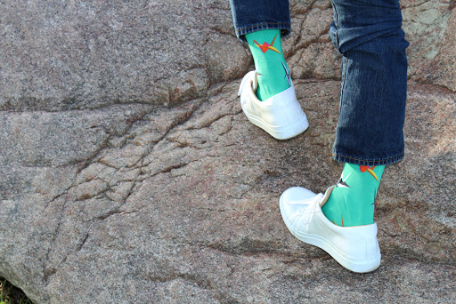 Spiffy Socks Club
