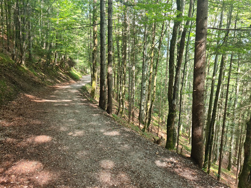 Bockerlbahn Weg - Visual