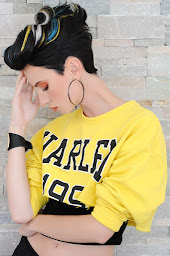 Photo n°19 de La Fabrique du Coloriste à Lumbres (Barbier)