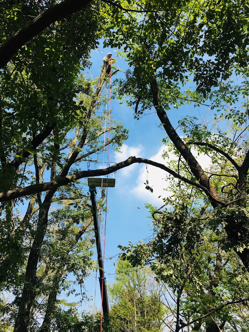 有限会社 鴨居造園