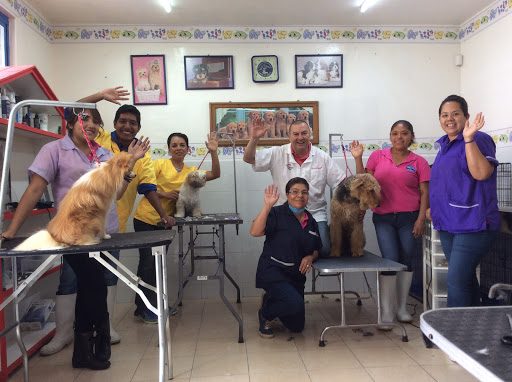 Clínica Veterinaria Monterrey