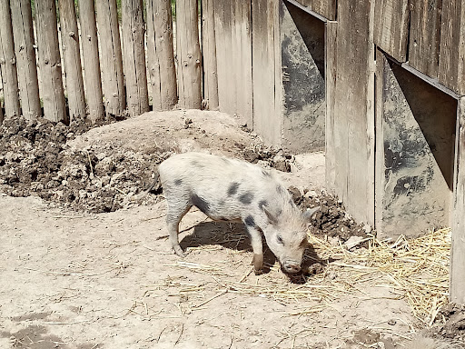 Zájezd Zoo - Thumbnail