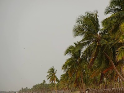 photo of Mamunai Central Bus Stop