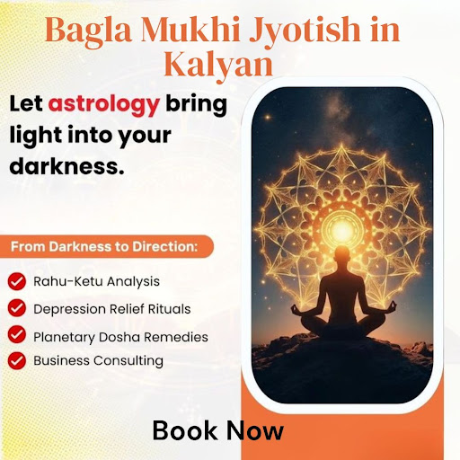 Best Astrologer and Vastu Consultant in India. post image
