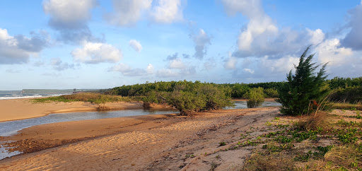 Buffalo Creek (Gumuniya)