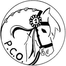 Photo n°28 de PONEY CLUB D OZOIR à Ozoir-la-Ferrière (Centre équestre)