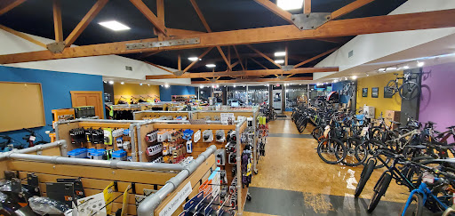 Tacoma Bike & Ski - Thumbnail