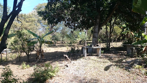 Chiapa Garden - Visual
