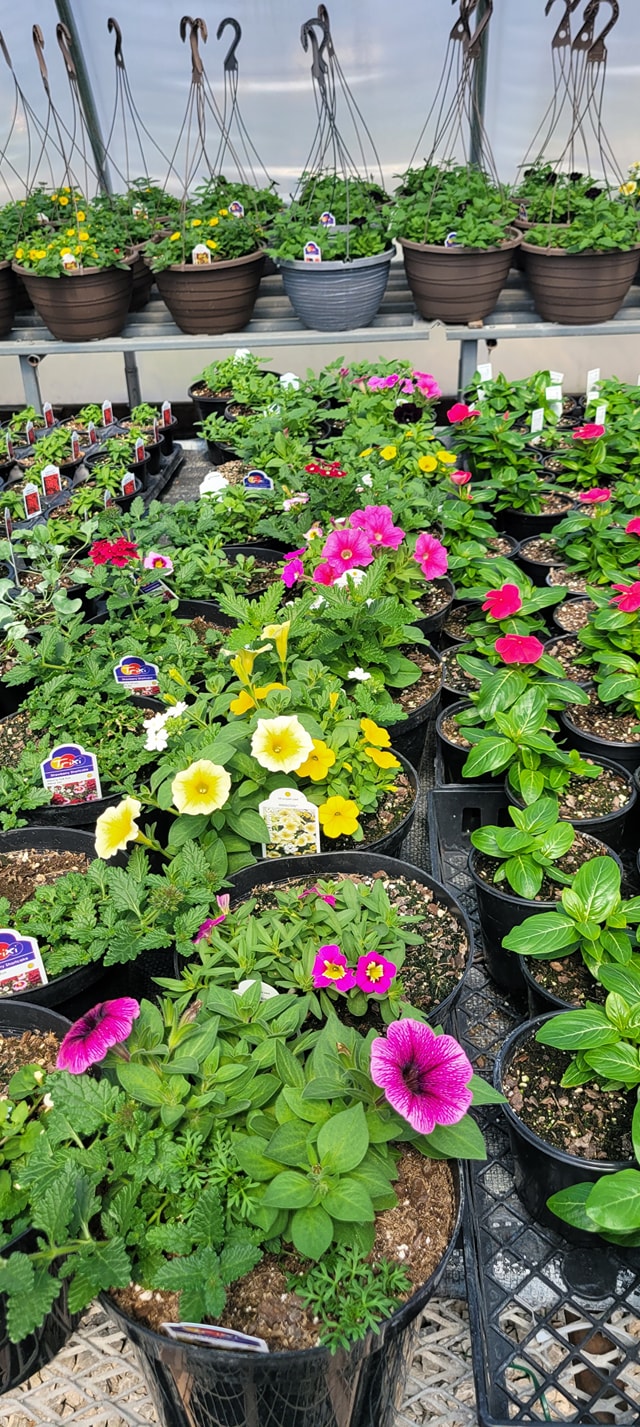 Allie's Gift and Garden, LLC