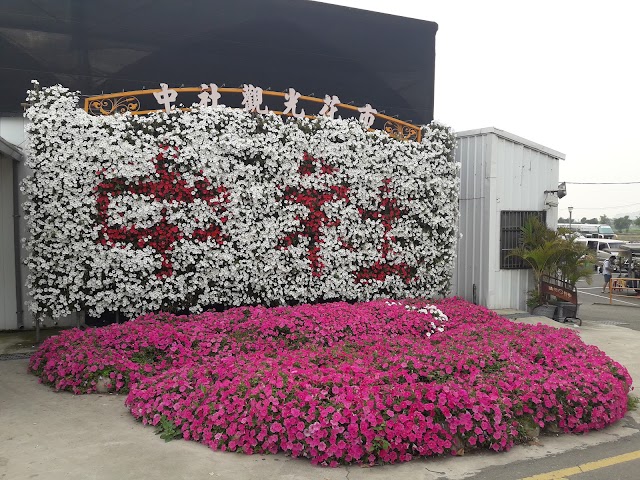Zhongshe flower market taichung