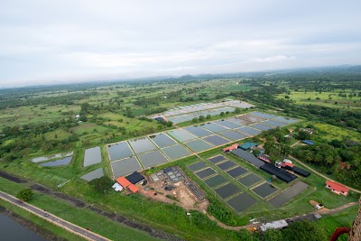 Photos of Dambulla Fish Breeding Center (NAQDA)