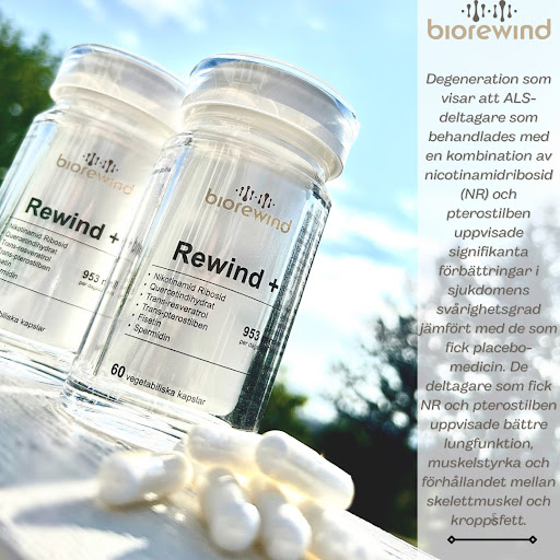 Biorewind - Visual