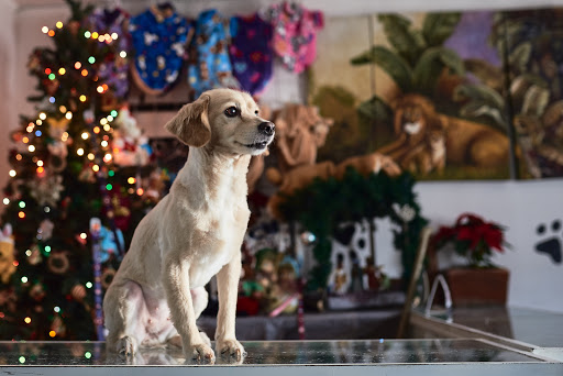 Veterinaria Ramírez