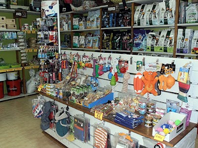 Photos of Furniture Mark 1