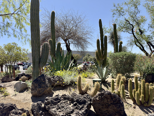Ethel M Botanical Cactus Garden - Thumbnail