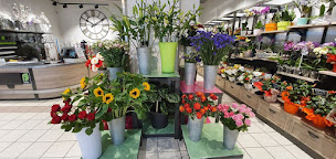 Photo n°23 de La vie en Fleurs Hyper U Manosque à Manosque (Fleuriste)