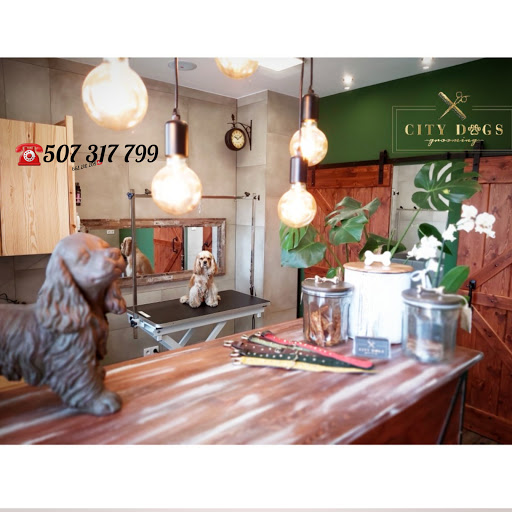 City Dogs Grooming-Salon dla psów