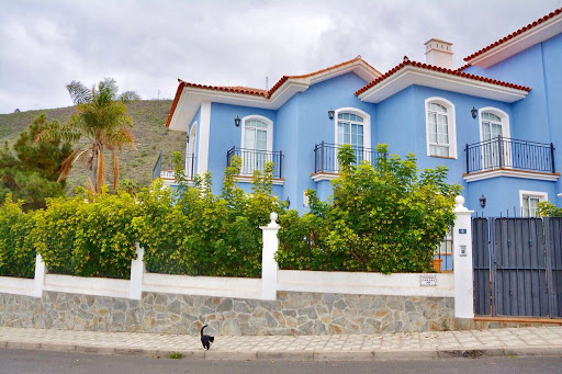 Inmobiliaria Steinert Investment S.L. - Thumbnail