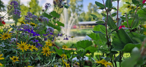 Heisterschoßer Teich - Thumbnail