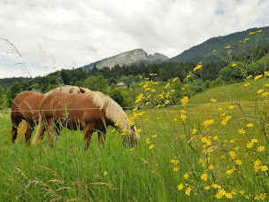 Photo n°7 de Auberge de l'Atre Fleuri à Saint-Pierre-de-Chartreuse (Hôtel)