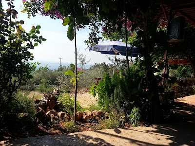Photos of Harnupaltı Kafeterya