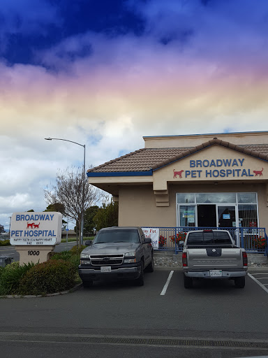 Broadway Pet Hospital - Thumbnail